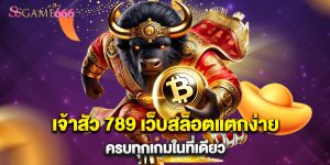 66.เจ้าสัว 789 เว็บสล็อตแตกง่าย ครบทุกเกมในที่เดียว